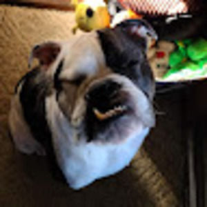 Meet your Posher, Kris